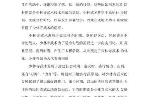 《新功夫少林》深度体验分析报告