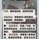以下是对《2025年武将强度评估报告》的深度解析与实战建议，按优先级分类整理：
