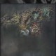 永恒之塔烙印之石任务攻略及真假辨别指南
