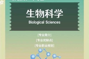深入探索：揭秘越往里越有劲的奥秘