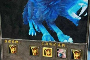 海加尔山灵魂兽任务需求详解