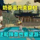 汉堡和橙子布丁玩迷你世界，汉堡，布丁 迷你