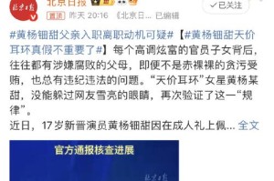 事件背景与争议焦点，事件背景与争议焦点，XX事件中的核心矛盾与解决路径
