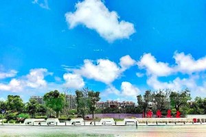 海棠网：最新资讯与热点内容一站式平台