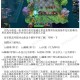 深度剖析：dota全球赛制下的装备选择策略