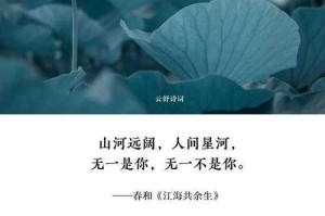 浮生落羽冷轻寒：诗意人生与岁月静好