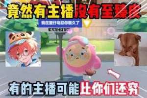 浪小子蛋仔派对主播是谁