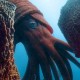 海洋之王：揭秘地球上最强大的海洋生物