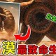 沙漠的恐怖沙虫我的世界 沙漠，沙虫 沙虫