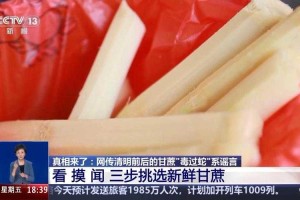 清明蔗毒如蛇？吃甘蔗必知的致命隐患