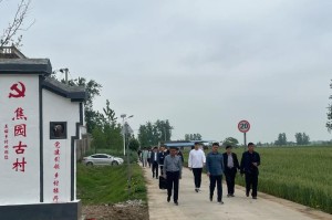 涡阳县最新动态：民生工程进展与乡村振兴成果