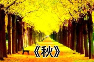 深秋依旧：季节流转中的诗意与温暖