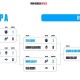 深入解析LGDDOTA战队的团队协作机制