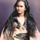 法国满天星八尺夫人菲律宾惊艳亮相