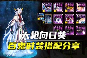 2025DNF110级女大枪流派选择与实战技巧