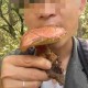 见手青中毒事件引发全网热议，见手青中毒事件引爆全网安全警示