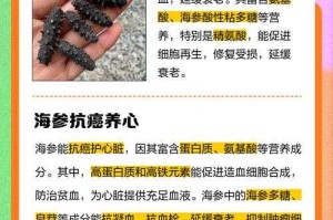 海参的营养价值与7大健康功效解析