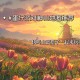 派对蛋仔派对新手好听的歌曲，音乐 派对，地图
