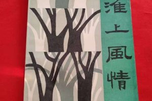 淮上风情：历史与自然的诗意交融