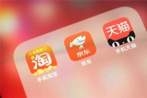 淘宝和京东哪个平台的手机支付方式更多样