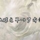 日产无线码无人区之谜：汉字密码揭秘，探寻神秘世界