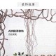 七日世界壁挂藤蔓四型购买指南