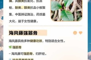 海风藤的功效与作用及食用方法