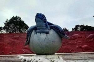 海龟坐骑的神奇之处是什么？，是什么 坐骑 海龟
