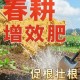 如何有效耕种提升姐姐土地肥力与生产力？