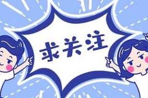 事件背景与公众关注，事件背景与公众关注，透视XX事件的社会舆论演变与政策响应