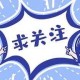 事件背景与公众关注，事件背景与公众关注，透视XX事件的社会舆论演变与政策响应