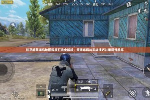 海岛开发商和平精英，突然 开发商，开发商
