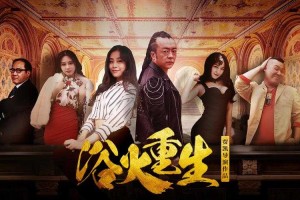 浴火重生：逆袭人生的终极法则