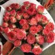 泡泡鲜花高清美图合集