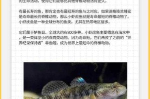海洋动物寿命对比：哪种生物活得更久？