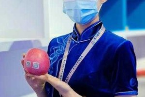 数字身份革命，当换证潮撞上区块链—透视第二代身份证迎换证高峰背后的科技暗战，数字身份2.0，区块链驱动下的换证潮突围战——解码第二代身份证换证背后的技术攻防