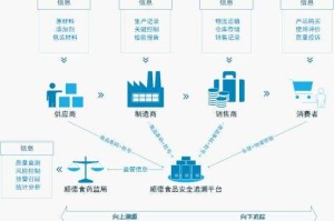 社会现象溯源，解码成因，社会现象背后的多维溯源与历史语境