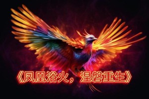 浴火凤凰：涅槃重生的传奇之旅