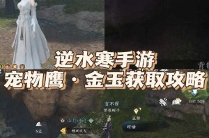 消光黎明之光获取方法及详细攻略
