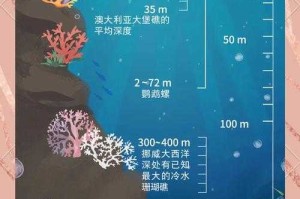 海洋生态系统类型分类及常见误区