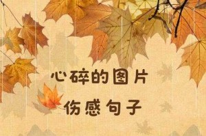 深夜湿透心扉的情感长文：那些止不住的泪与痛