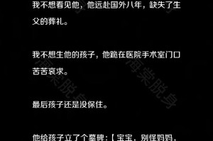 海棠NPC：游戏穿越实录