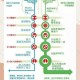 求知无止境：终身学习成长指南