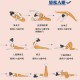 房间舒缓锻炼法，科学缓解腿部疲劳