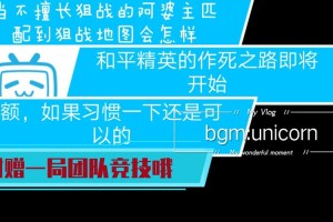 海南老婆婆打和平精英视频，直播间 老婆婆，阿婆