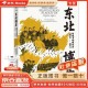 地缘政治博弈，大国博弈与全球权力重构，地缘政治新格局