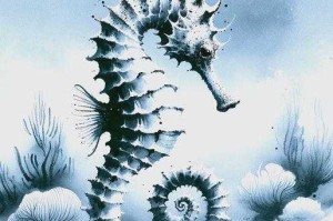 海马美人鱼：揭秘海洋中的神奇生物