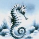 海马美人鱼：揭秘海洋中的神奇生物