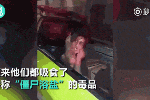 浴盐土冰真名揭秘 丧尸药成分解析