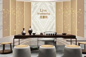 直播间背景设计灵感库 - 创意素材与布置方案大全